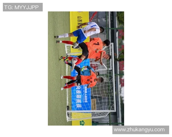 燃动全场 极限挑战与竞技比拼的体育综艺节目推荐集合